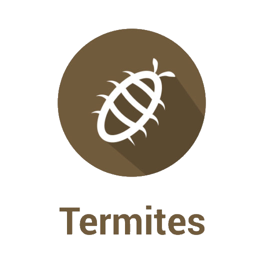 Diagnostic Termites